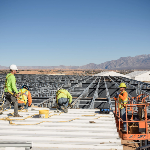 Rooted in Real Experience